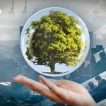 泰国气象局警告：上泰部分地区将迎来大到暴雨