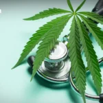 世界银行经济学家探讨泰国如何阻止毕业生涌向首都