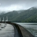 泰国航空暂停素万那普机场货运收发业务7天