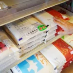越南电动汽车崛起引领东南亚发展步伐