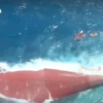 中国籍谋杀嫌疑人因涉嫌伪造泰国身份证件在芭提雅落网