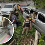 前谷歌DeepMind研究员警告AI或致人类灭绝，呼吁行业协同放缓