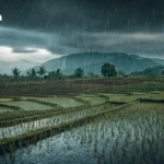 泰国气象局发布东北部特大暴雨及山洪预警