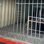 前僧侣 Alongkot 与灵媒“莫比”因挪用捐赠被判50年监禁