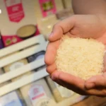 AI与电动汽车热潮推动泰国先进材料投资激增6.9亿美元