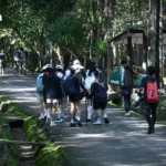 泰国男排将于10月1日亚运会四分之一决赛中迎战中国