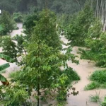 中老联合训练基地受关注：或为中国在东南亚首个完整海外军事基地