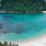 IMF警告全球经济“单腿站立”：AI繁荣掩盖经济裂缝