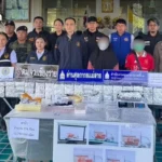AWC以Ruby品牌作为战略先手，推动资产增值与盈利提升