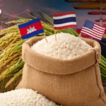 泰国迎来15000名与会者出席国际货币基金组织-世界银行年会